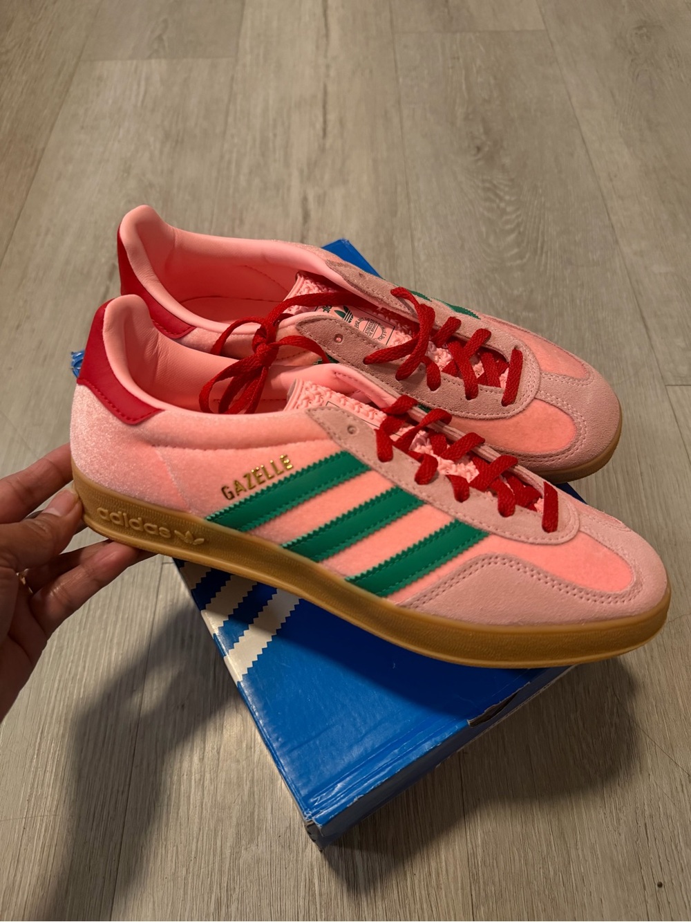 Gazelle indoor